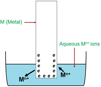 immersed electrode in water